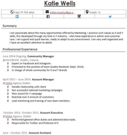 CV Template for Sales