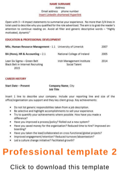 Professional CV template 2