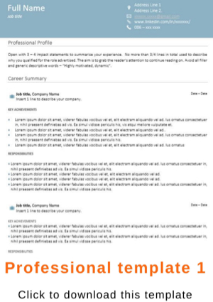 Professional CV template 2