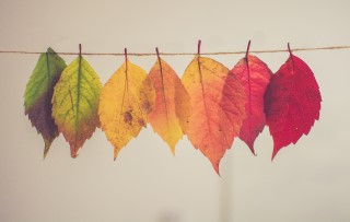 The transformation of PMO roles – what employers need to know