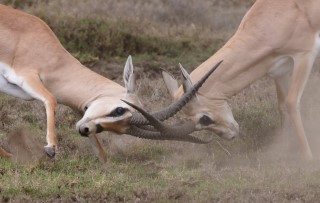 How to deal with the ‘conflict at work’ interview question