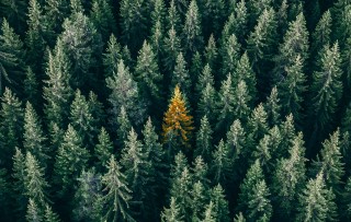 7 reasons recruitment agencies are not all the same