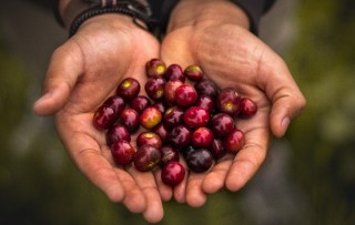 Here’s what you need to know about candidate selection