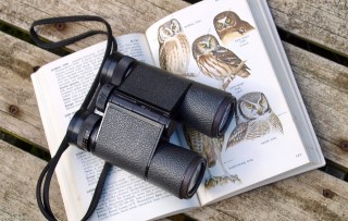 Should I put hobbies and interests on my CV?