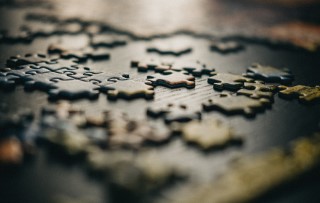 How do I know if a company is the right organisational fit for me?