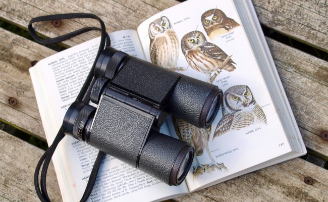 binoculars on a bird-watching guide, referencing hobbies and interests on a CV.