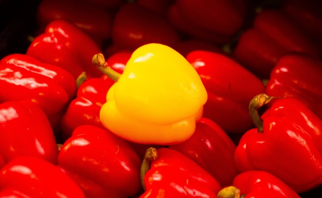A yellow pepper among a bunch of red peppers, representing how to stand out in job interviews.