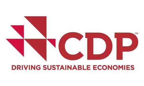 CDP Logo